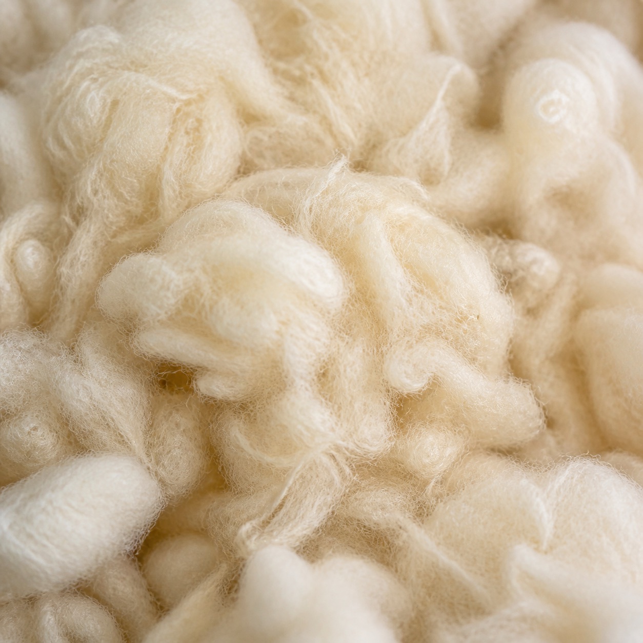 Airelle Natural Wool